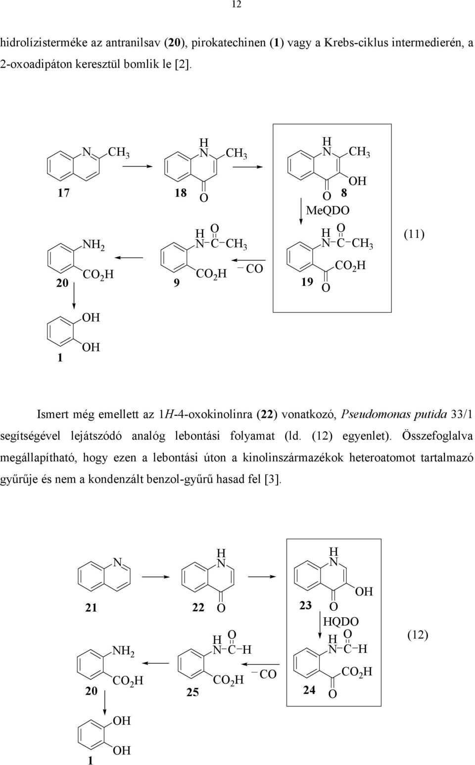 putida 33/1 segítségével lejátszódó analóg lebontási folyamat (ld. (12) egyenlet).