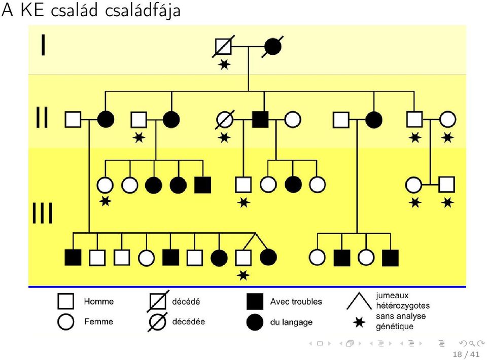 fája 18 /