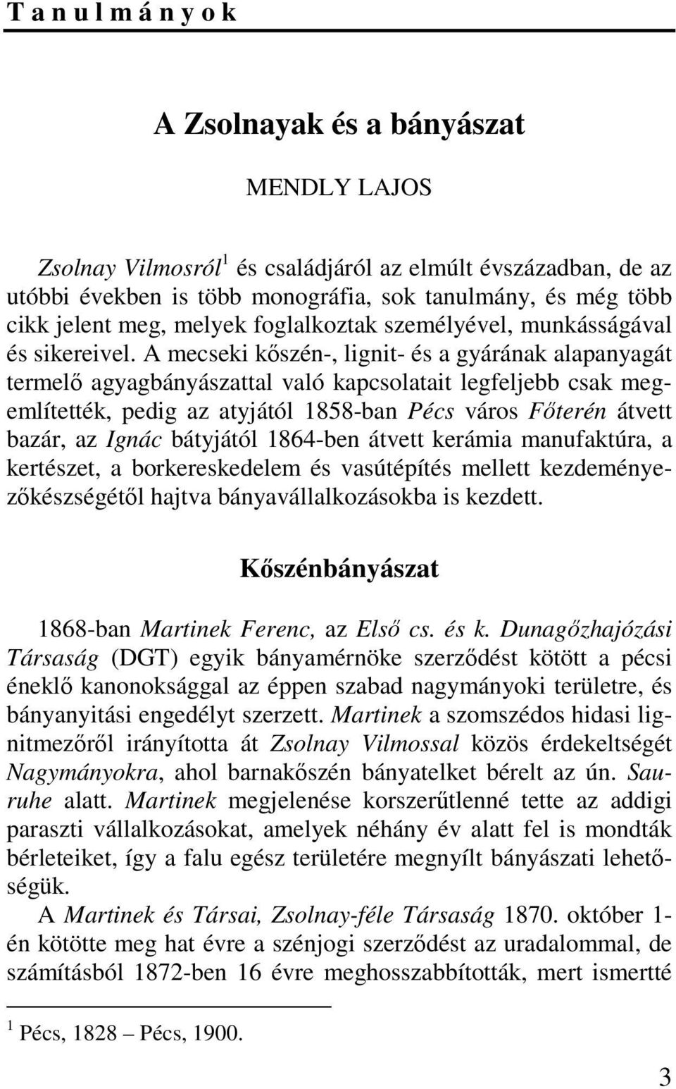 A mecseki kıszén-, lignit- és a gyárának alapanyagát termelı agyagbányászattal való kapcsolatait legfeljebb csak megemlítették, pedig az atyjától 1858-ban Pécs város Fıterén átvett bazár, az Ignác