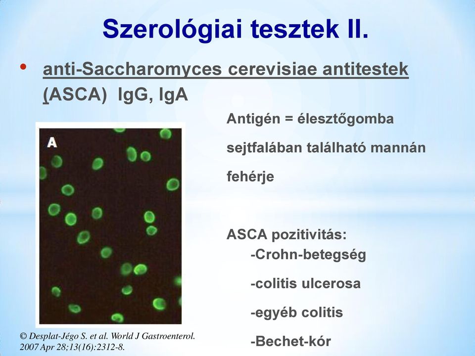 élesztőgomba sejtfalában található mannán fehérje ASCA pozitivitás: