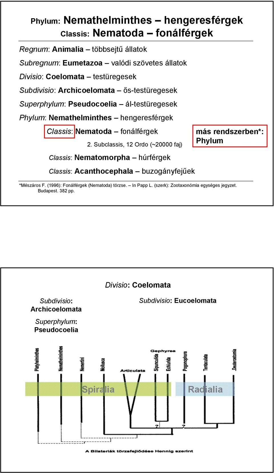 Subclassis, 12 Ordo (~20000 faj) Classis: Nematomorpha húrférgek Classis: Acanthocephala buzogányfejűek más rendszerben*: Phylum *Mészáros F.