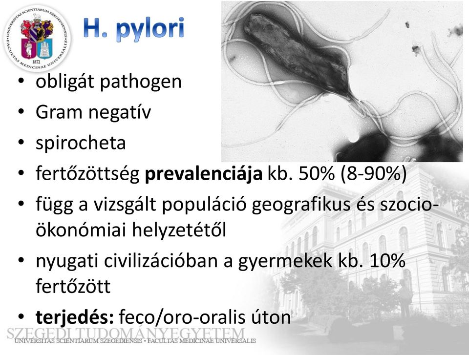 50% (8-90%) függ a vizsgált populáció geografikus és