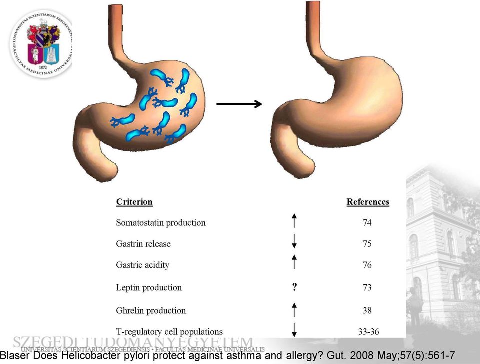 pylori colonized) stomach is becoming the Blaser Does