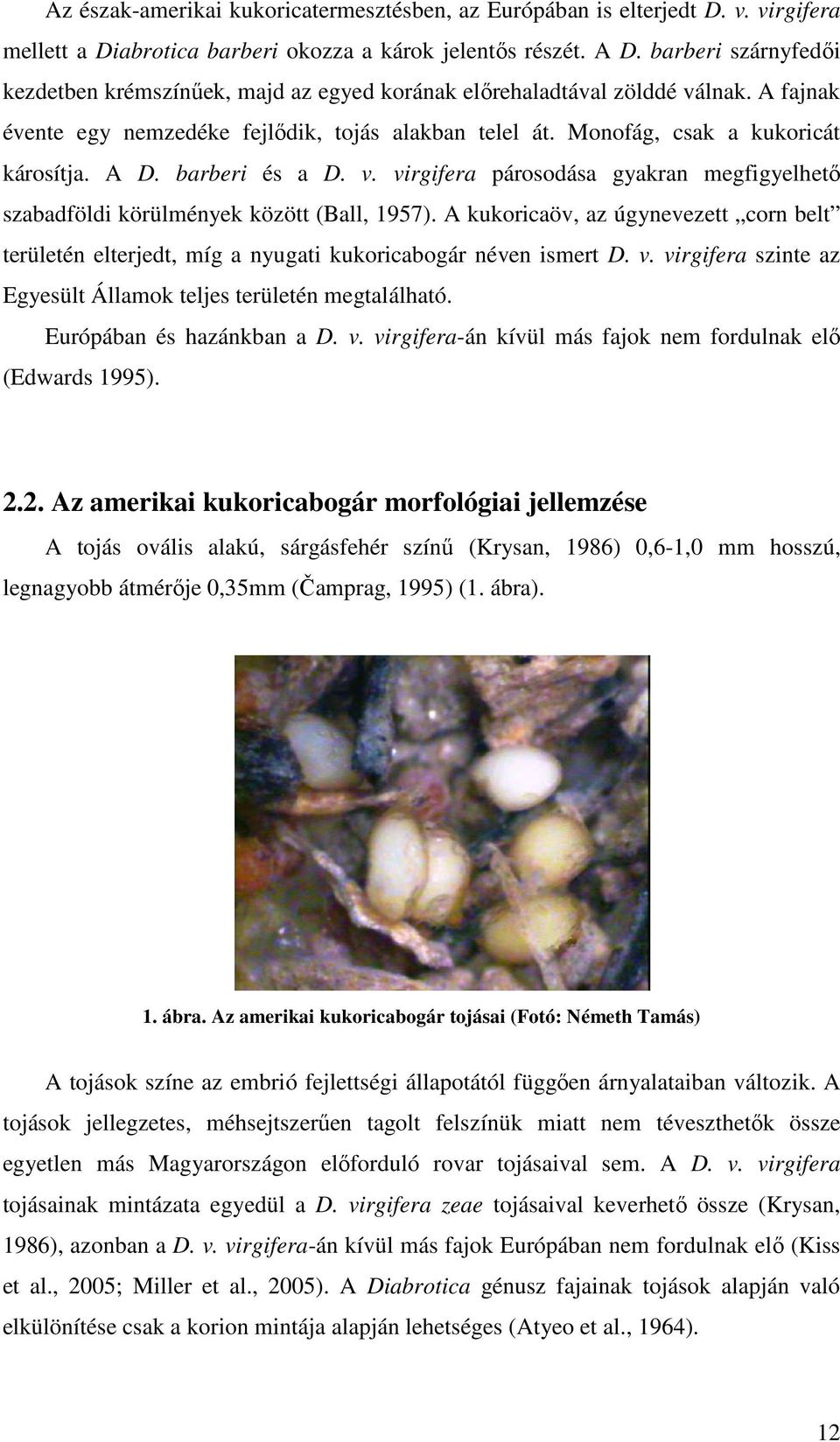 A D. barberi és a D. v. virgifera párosodása gyakran megfigyelhető szabadföldi körülmények között (Ball, 1957).