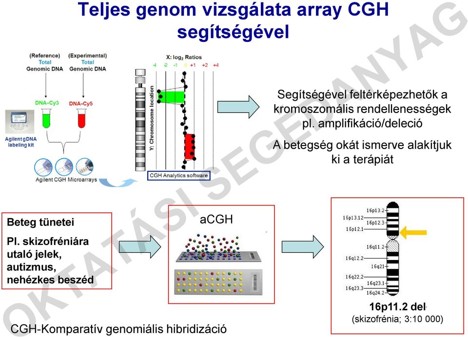 CGH segítségével acgh Segítségével feltérképezhetők a kromoszomális