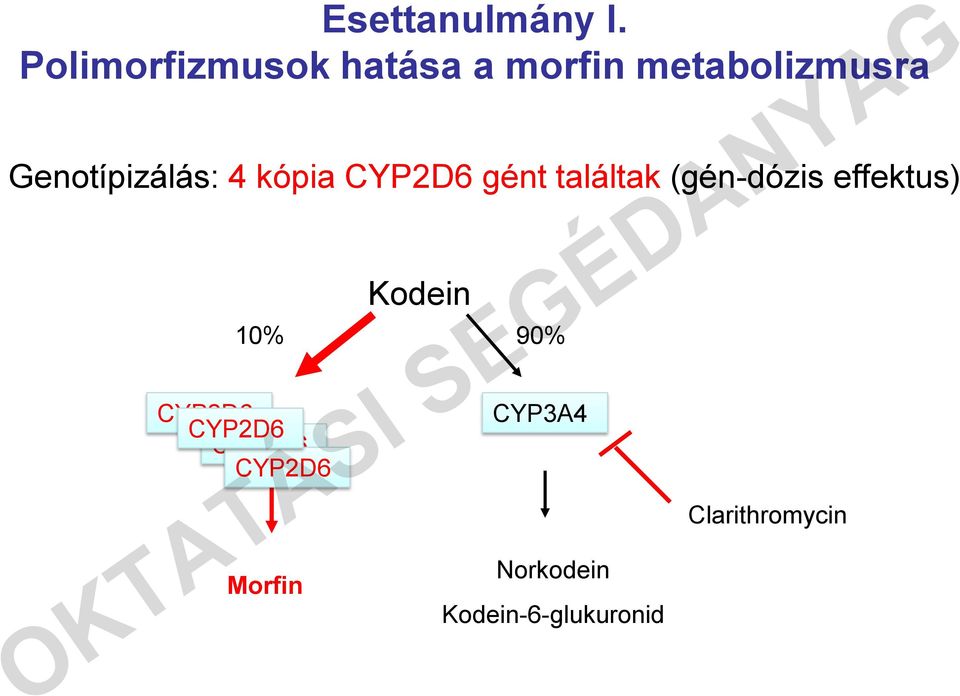 Genotípizálás: 4 kópia CYP2D6 gént találtak (gén-dózis