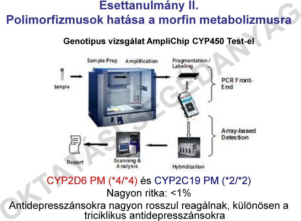 vizsgálat AmpliChip CYP450 Test-el CYP2D6 PM (*4/*4) és CYP2C19