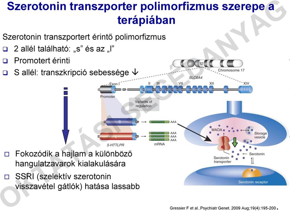 Fokozódik a hajlam a különböző hangulatzavarok kialakulására SSRI (szelektív szerotonin