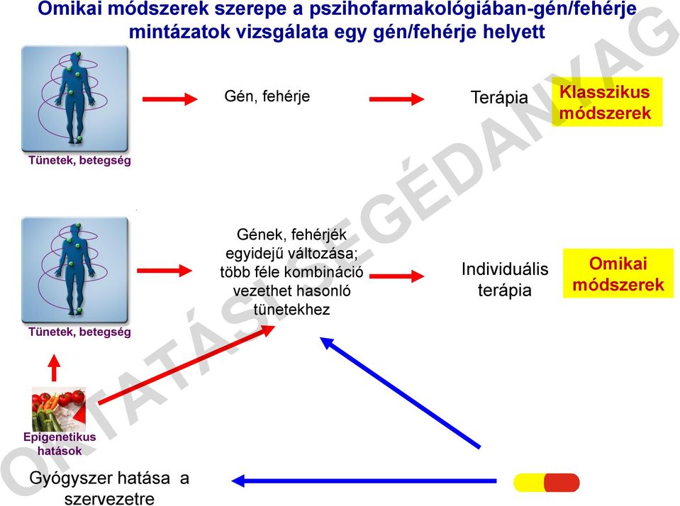 hatása a szervezetre Gén, fehérje Gének, fehérjék egyidejű változása; több féle