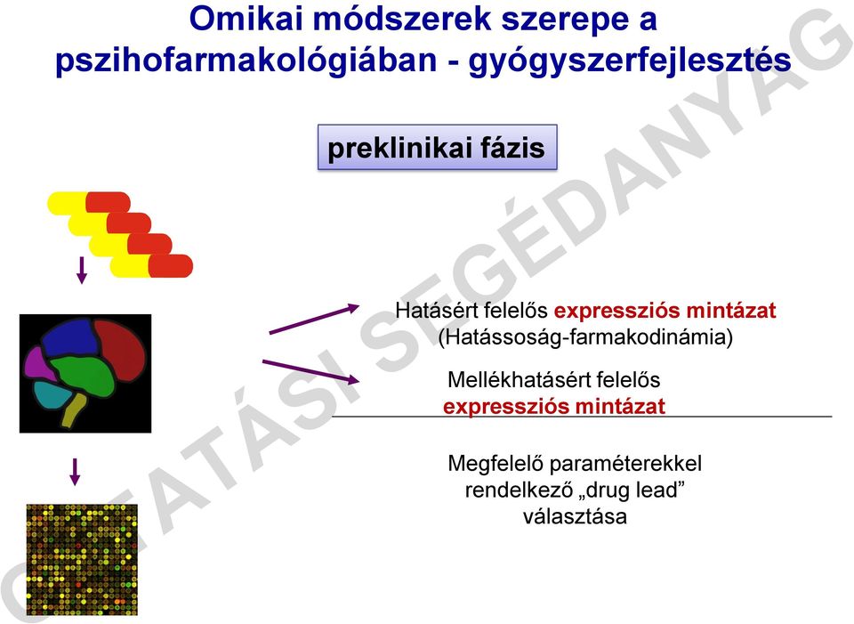 expressziós mintázat (Hatássoság-farmakodinámia) Mellékhatásért