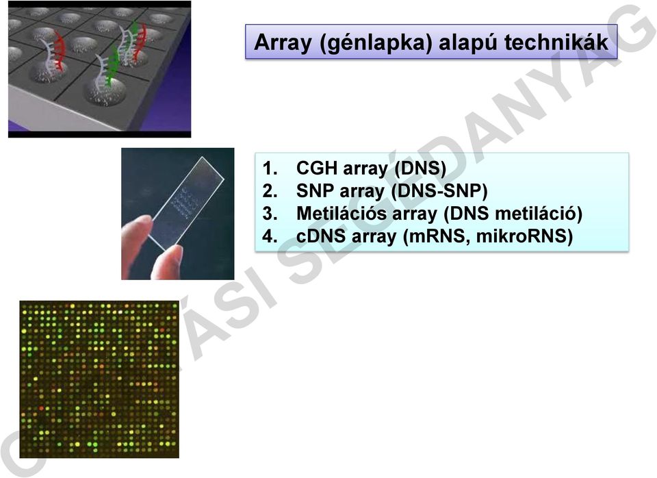 SNP array (DNS-SNP) 3.