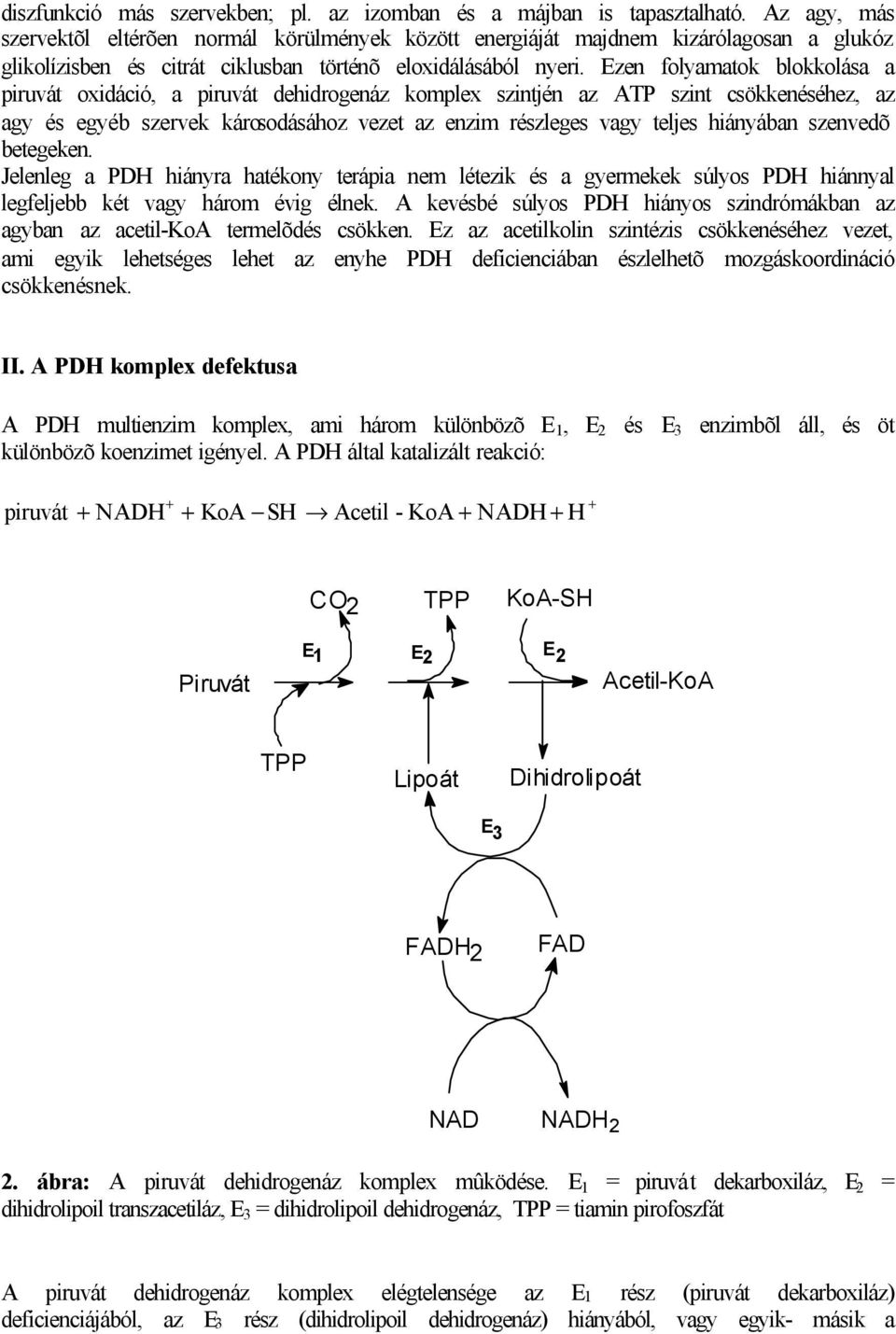 Ezen folyamatok blokkolása a piruvát oxidáció, a piruvát dehidrogenáz komplex szintjén az ATP szint csökkenéséhez, az agy és egyéb szervek károsodásához vezet az enzim részleges vagy teljes hiányában