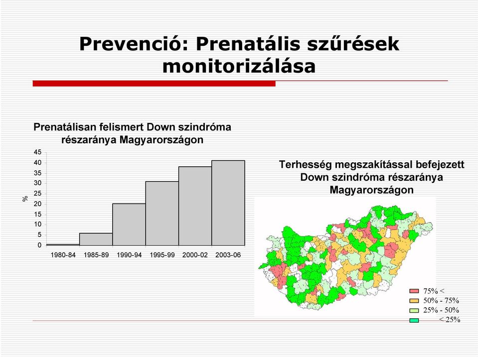 1980-84 1985-89 1990-94 1995-99 2000-02 2003-06 Terhesség megszakítással