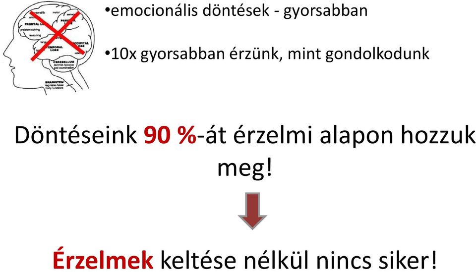 Döntéseink 90 %-át érzelmi alapon