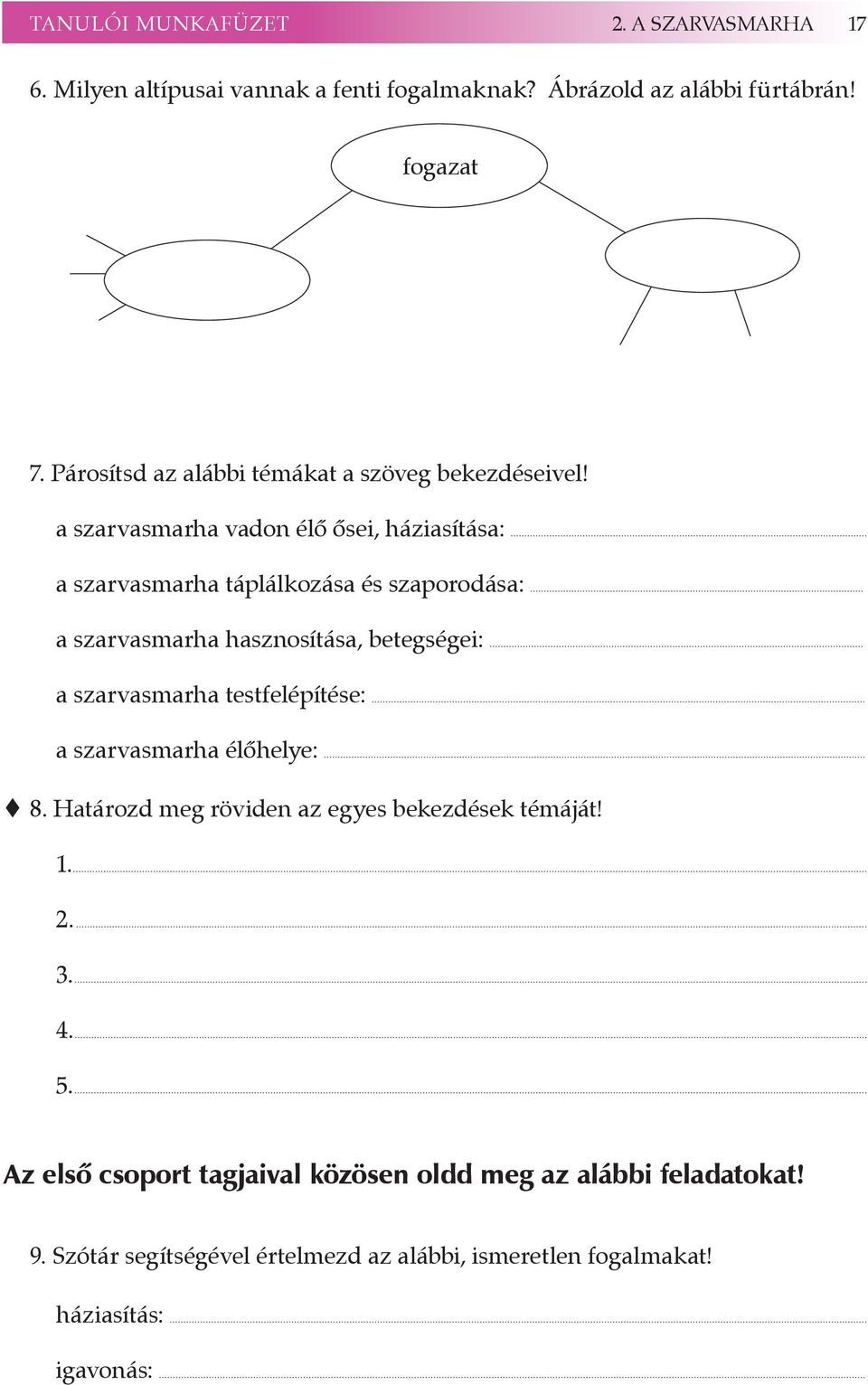 a szarvasmarha vadon élő ősei, háziasíása: a szarvasmarha áplálkozása és szaporodása: a szarvasmarha hasznosíása, beegségei: a szarvasmarha