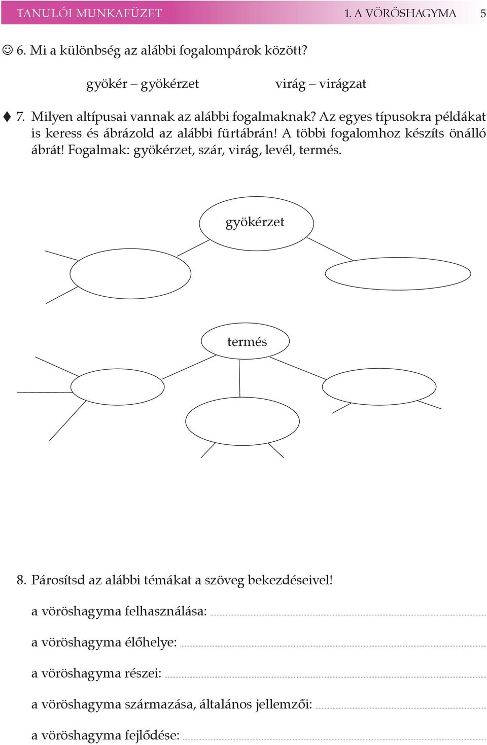 A öbbi fogalomhoz készís önálló ábrá! Fogalmak: gyökérze, szár, virág, levél, ermés. gyökérze ermés 8.