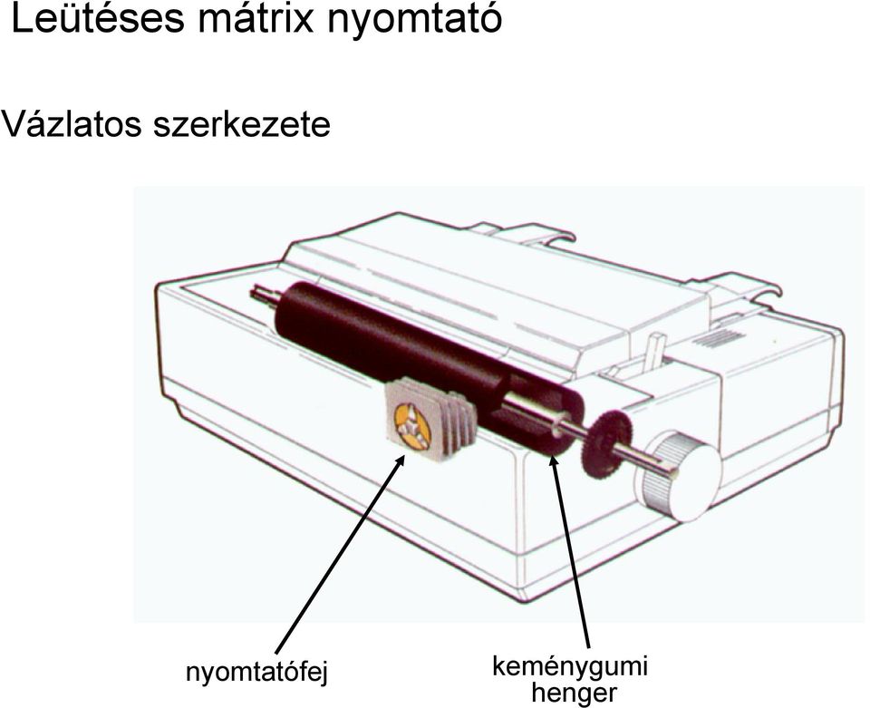 szerkezete