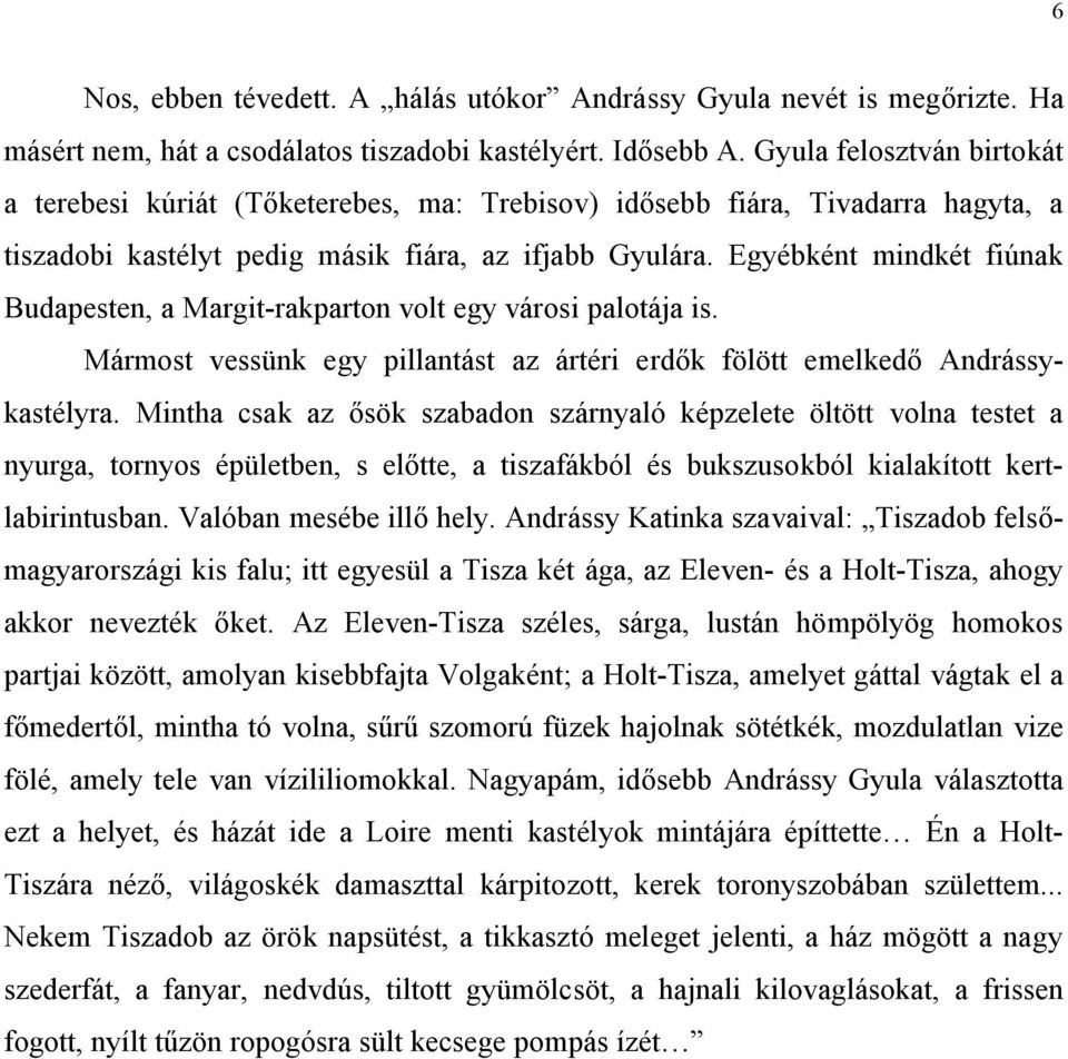 Egyébként mindkét fiúnak Budapesten, a Margit-rakparton volt egy városi palotája is. Mármost vessünk egy pillantást az ártéri erdők fölött emelkedő Andrássykastélyra.