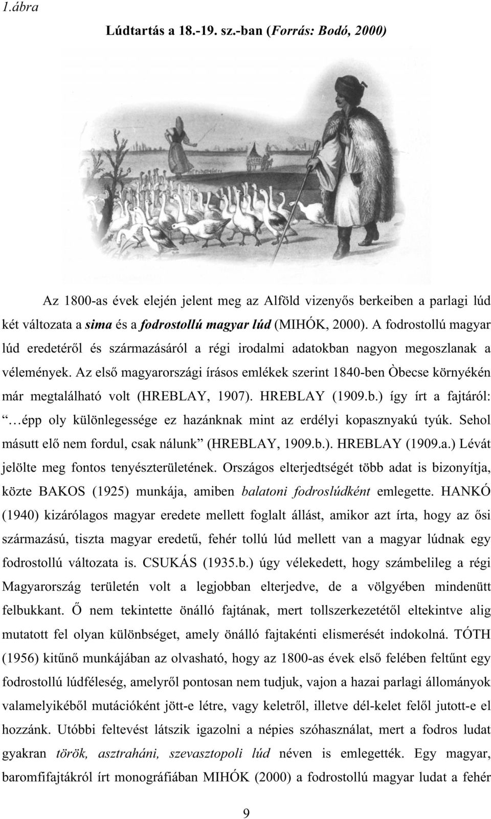 Az els magyarországi írásos emlékek szerint 1840-ben Òbecse környékén már megtalálható volt (HREBLAY, 1907). HREBLAY (1909.b.) így írt a fajtáról: épp oly különlegessége ez hazánknak mint az erdélyi kopasznyakú tyúk.