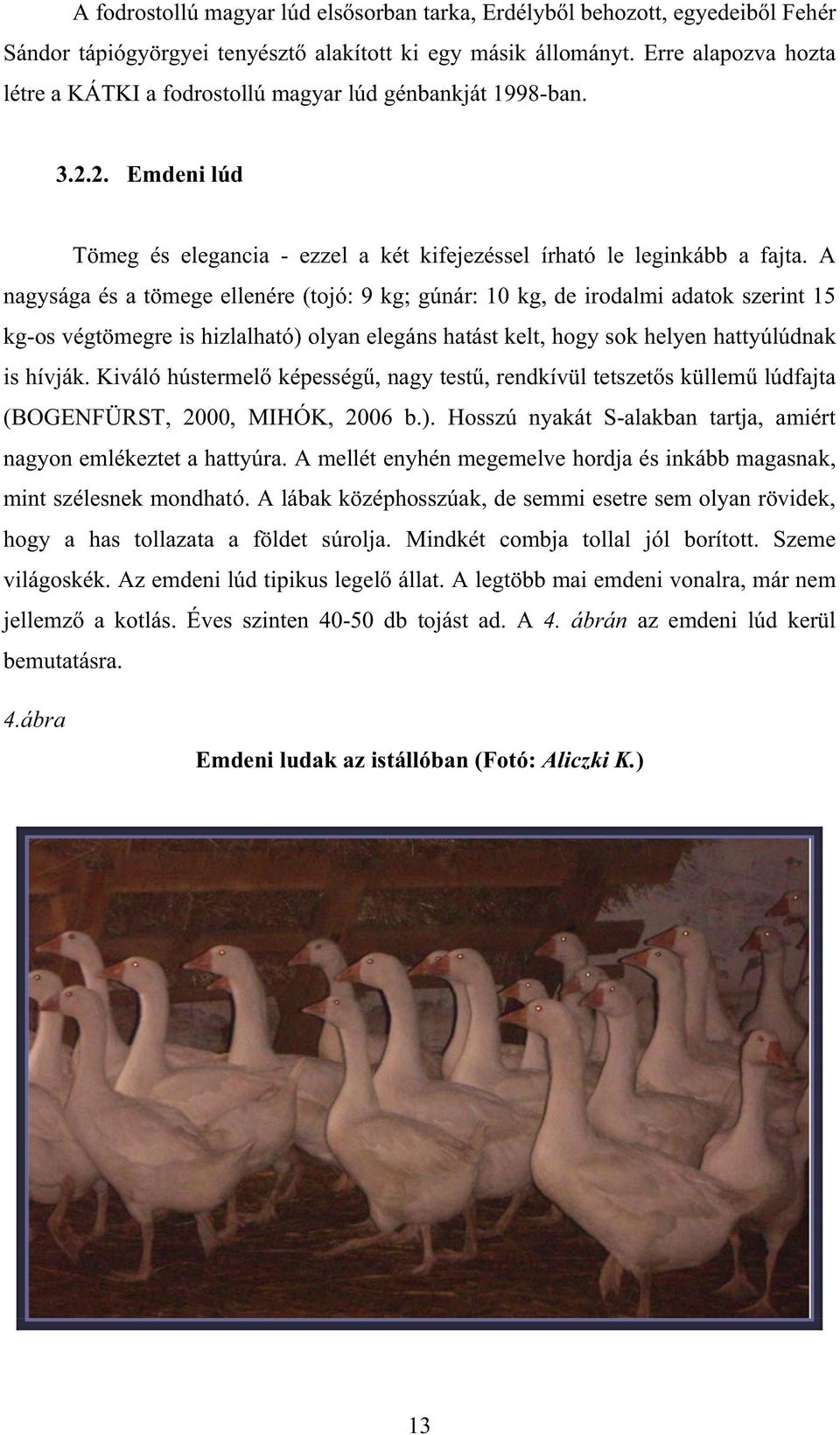 A nagysága és a tömege ellenére (tojó: 9 kg; gúnár: 10 kg, de irodalmi adatok szerint 15 kg-os végtömegre is hizlalható) olyan elegáns hatást kelt, hogy sok helyen hattyúlúdnak is hívják.