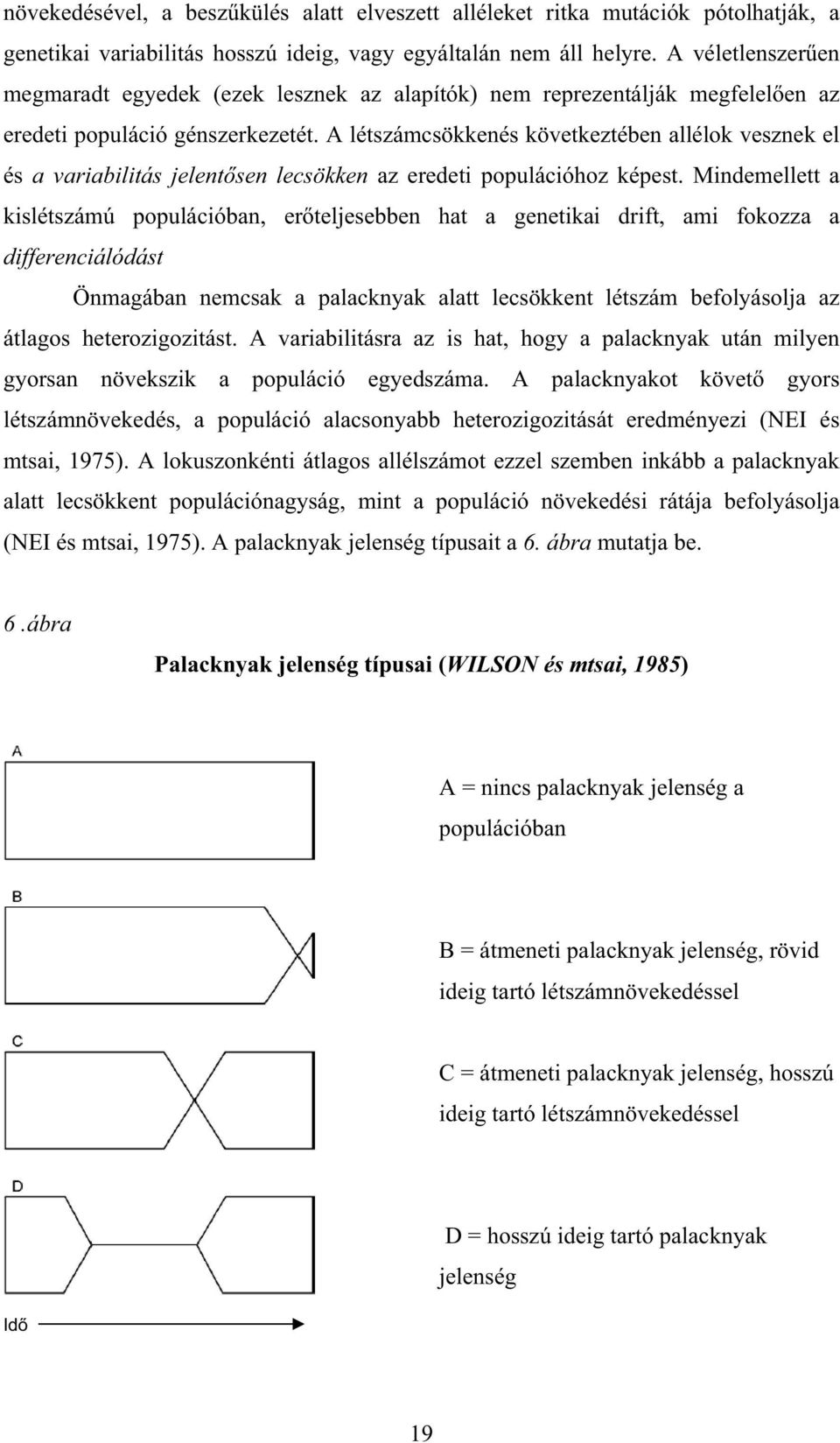 A létszámcsökkenés következtében allélok vesznek el és a variabilitás jelent sen lecsökken az eredeti populációhoz képest.