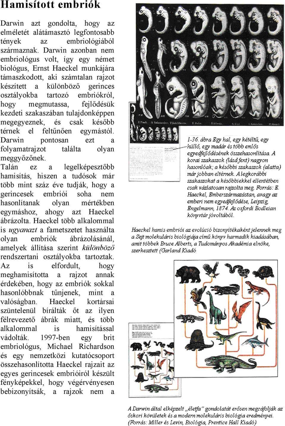 fejlődésük kezdeti szakaszában tulajdonképpen megegyeznek, és csak később térnek el feltűnően egymástól. Darwin pontosan ezt a folyamatrajzot találta olyan meggyőzőnek.