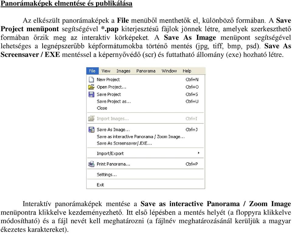 A Save As Image menüpont segítségével lehetséges a legnépszerűbb képformátumokba történő mentés (jpg, tiff, bmp, psd).
