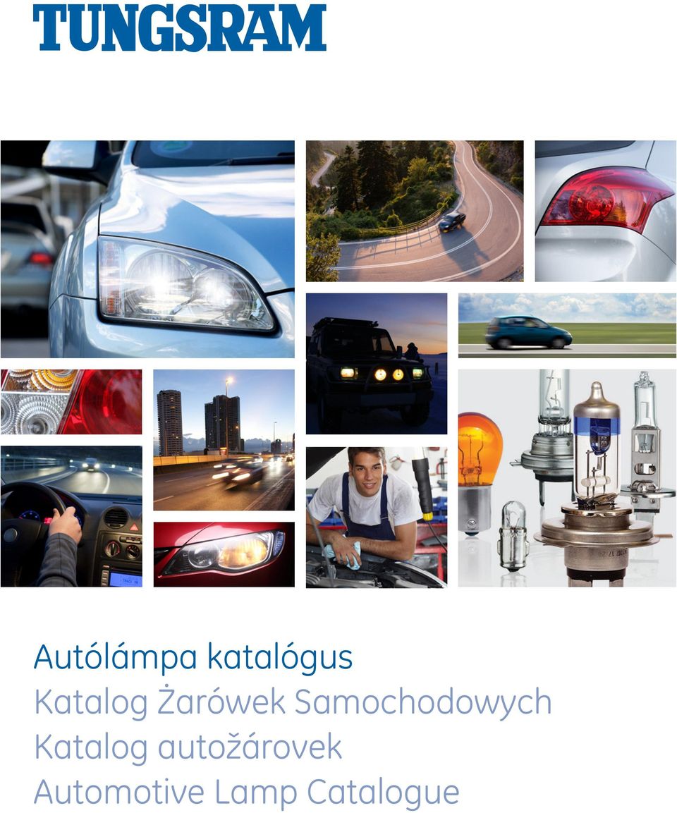 Samochodowych Katalog