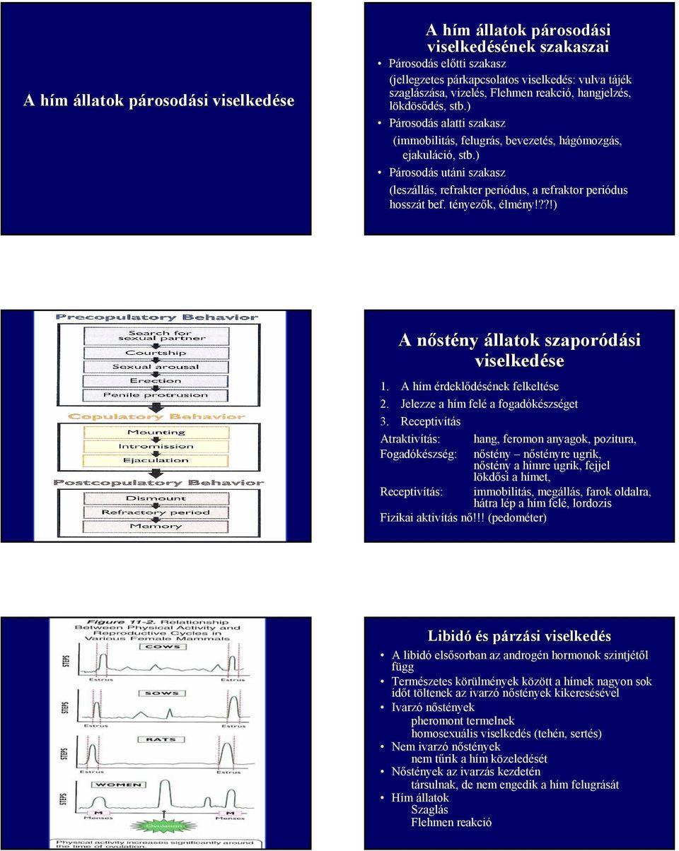 ) Párosodás utáni szakasz (leszállás, refrakter periódus, a refraktor periódus hosszát bef. tényezők, élmény!??!) A nőstény állatok szaporódási si viselkedése 1. A hím érdeklődésének felkeltése 2.