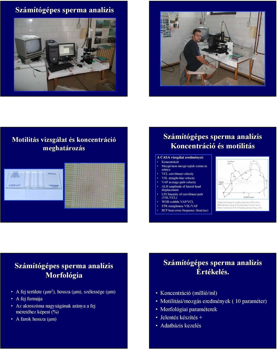 wobble VAP/VCL STR straightness VSL/VAP BCF beat-cross frequency (beat/sec) Számítógépes sperma analízis Morfológia Számítógépes sperma analízis Értékelés.