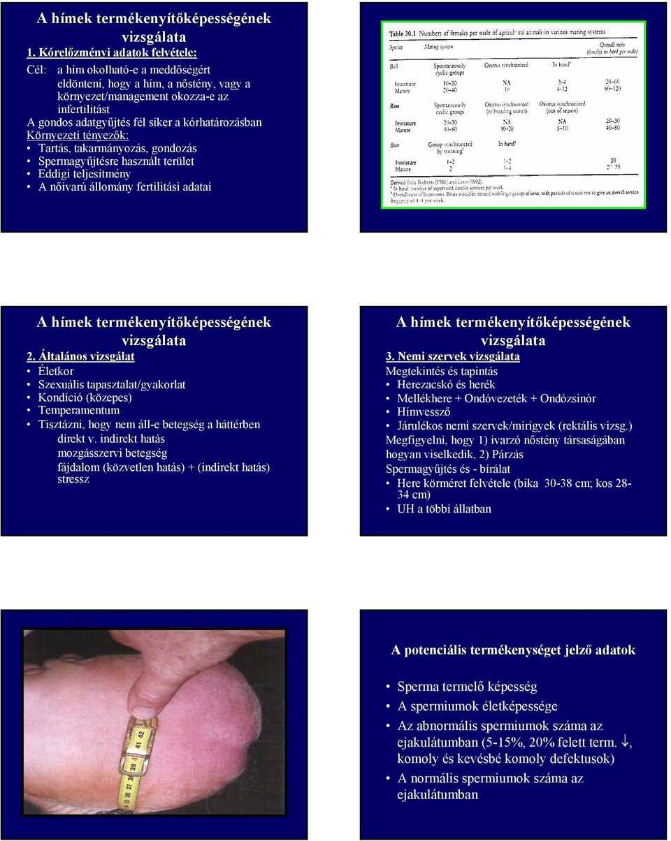 kórhatározásban Környezeti tényezők: Tartás, takarmányozás, gondozás Spermagyűjtésre használt terület Eddigi teljesítmény A nőivarú állomány fertilitási adatai A hímek h termékeny kenyítőképességének