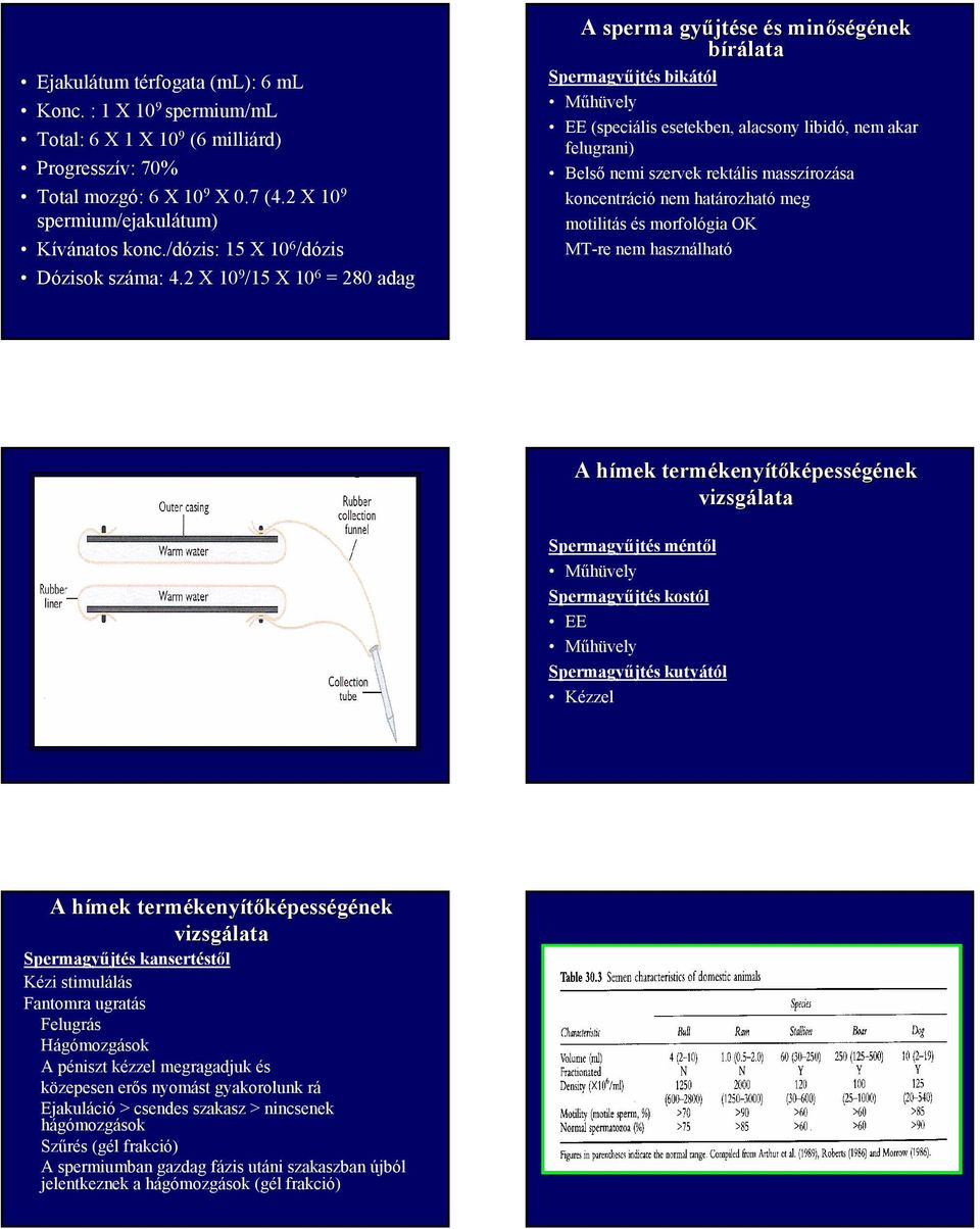 2 X 10 9 /15 X 10 6 = 280 adag A sperma gyűjt jtése és s minőségének nek bírálata Spermagyűjtés bikától Műhüvely EE (speciális esetekben, alacsony libidó, nem akar felugrani) Belső nemi szervek