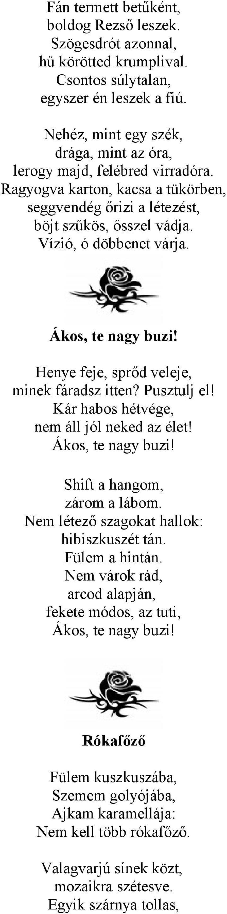 Ákos, te nagy buzi! Henye feje, sprőd veleje, minek fáradsz itten? Pusztulj el! Kár habos hétvége, nem áll jól neked az élet! Ákos, te nagy buzi! Shift a hangom, zárom a lábom.