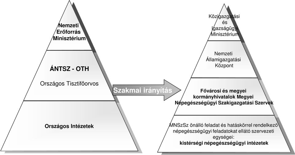 Megyei Népegészségügyi Szakigazgatási Szervek Országos Intézetek MNSzSz önálló feladat és