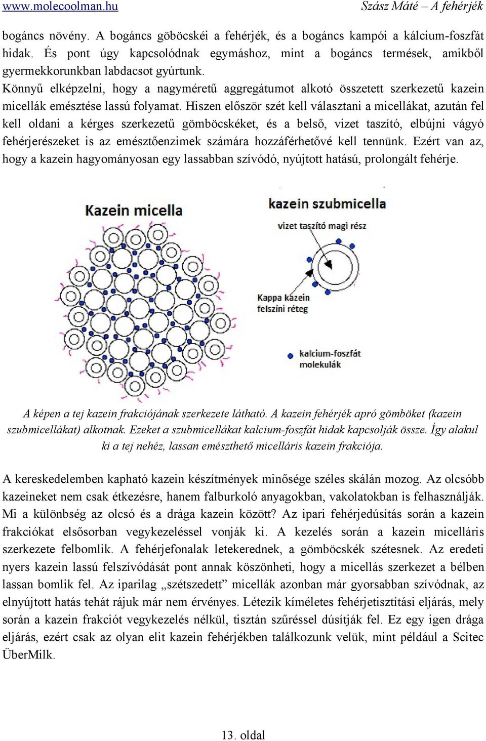 Hiszen először szét kell választani a micellákat, azután fel kell oldani a kérges szerkezetű gömböcskéket, és a belső, vizet taszító, elbújni vágyó fehérjerészeket is az emésztőenzimek számára