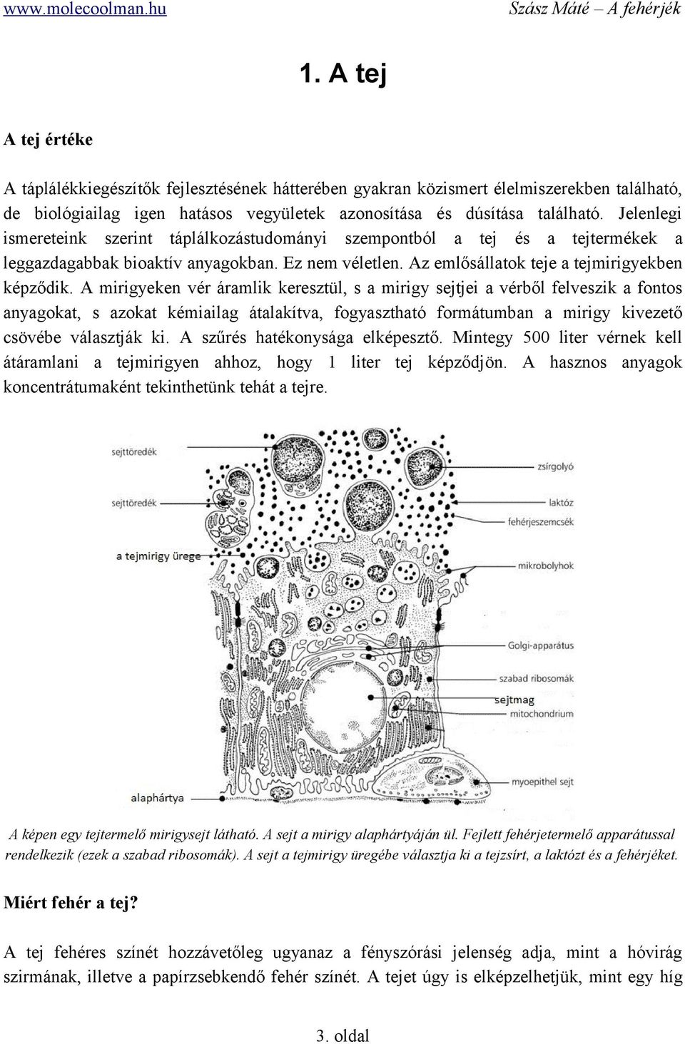 A mirigyeken vér áramlik keresztül, s a mirigy sejtjei a vérből felveszik a fontos anyagokat, s azokat kémiailag átalakítva, fogyasztható formátumban a mirigy kivezető csövébe választják ki.