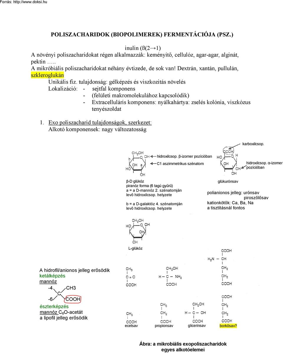 tulajdonság: gélképzés és viszkozitás növelés Lokalizáció: - sejtfal komponens - (felületi makromolekulához kapcsolódik) - Extracelluláris komponens: nyálkahártya: zselés kolónia, viszkózus