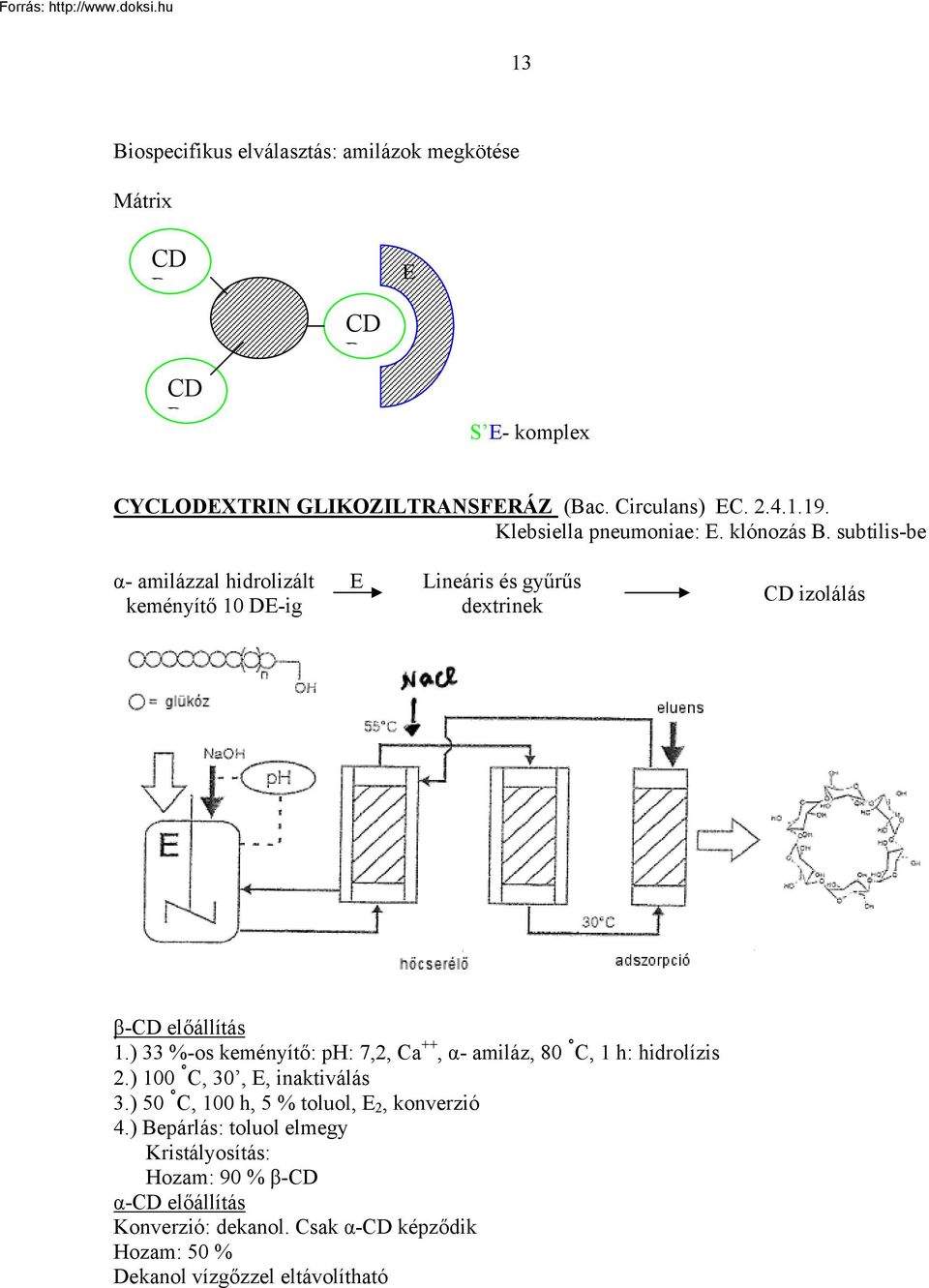 subtilis-be α- amilázzal hidrolizált keményítő 10 DE-ig E Lineáris és gyűrűs dextrinek CD izolálás β-cd előállítás 1.