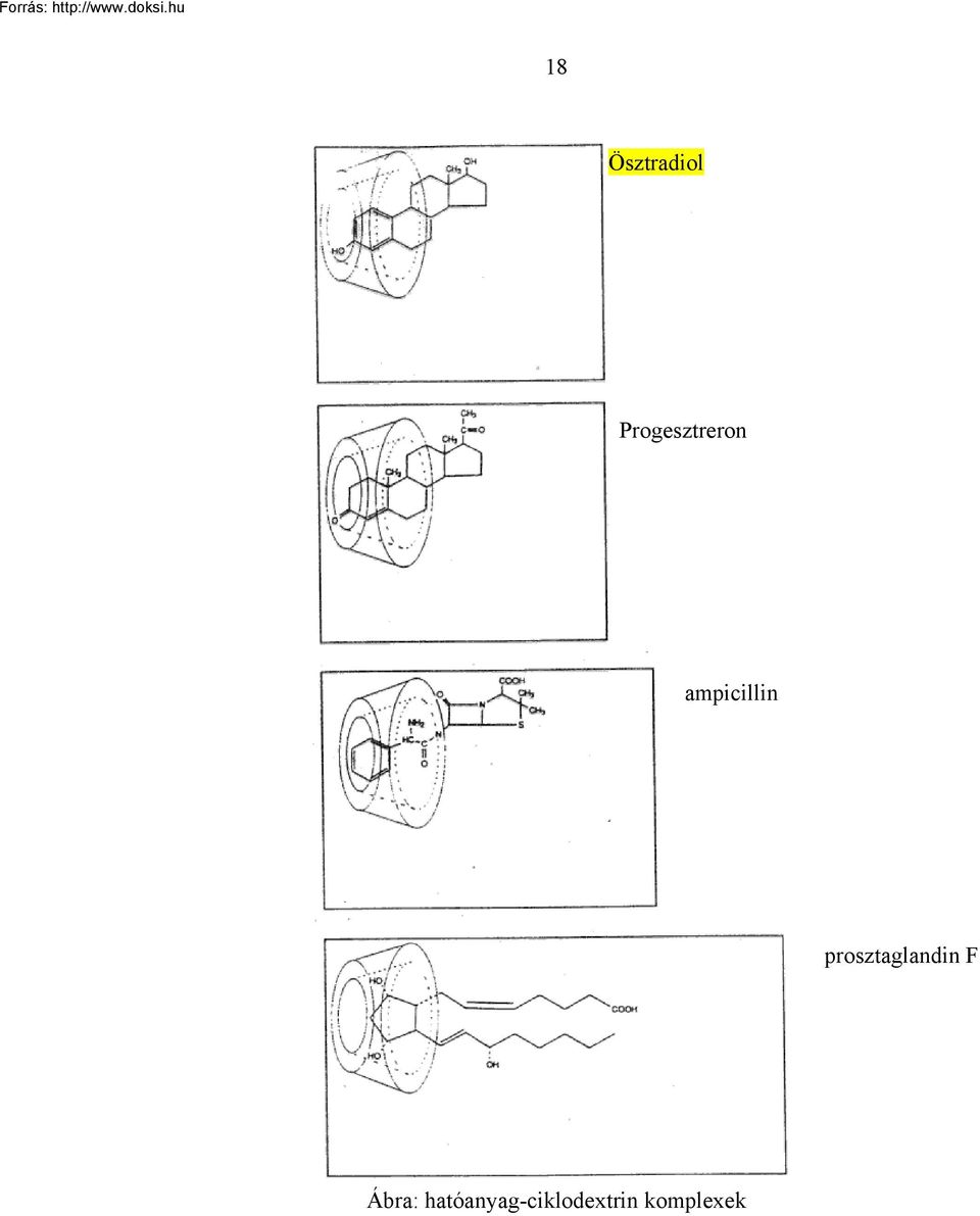 ampicillin