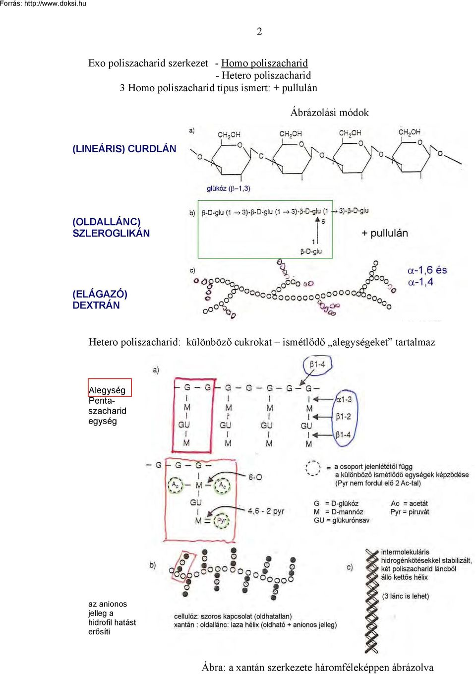 DEXTRÁN Hetero poliszacharid: különböző cukrokat ismétlődő alegységeket tartalmaz Alegység