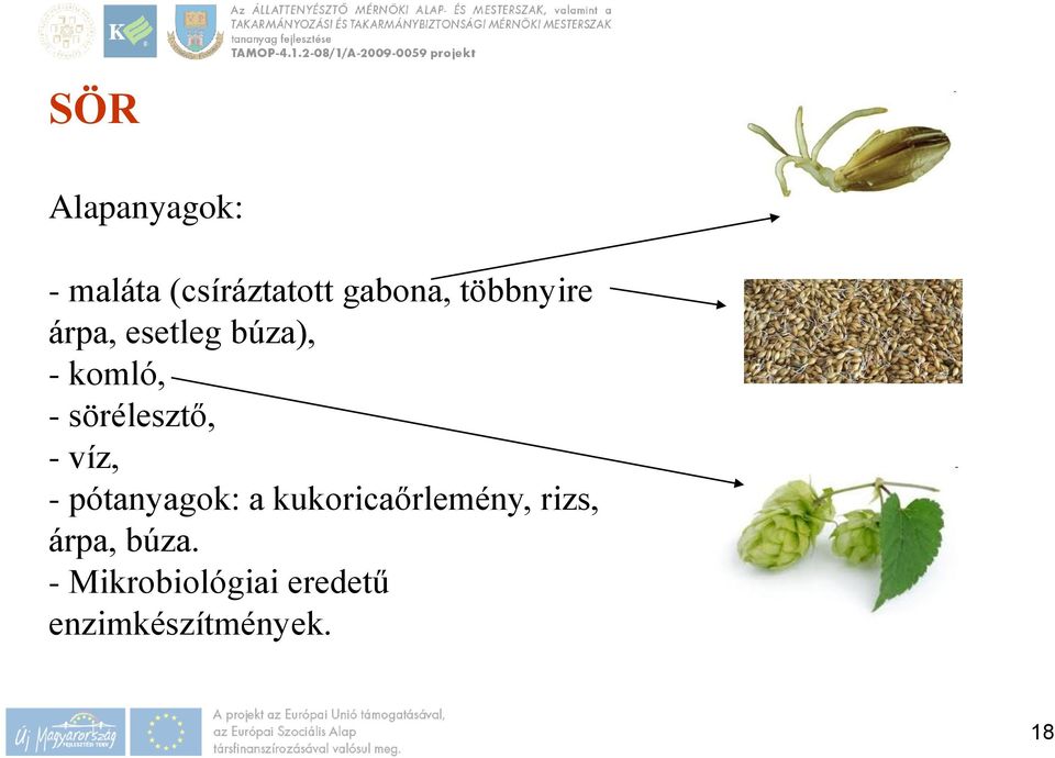 sörélesztő, - víz, - pótanyagok: a