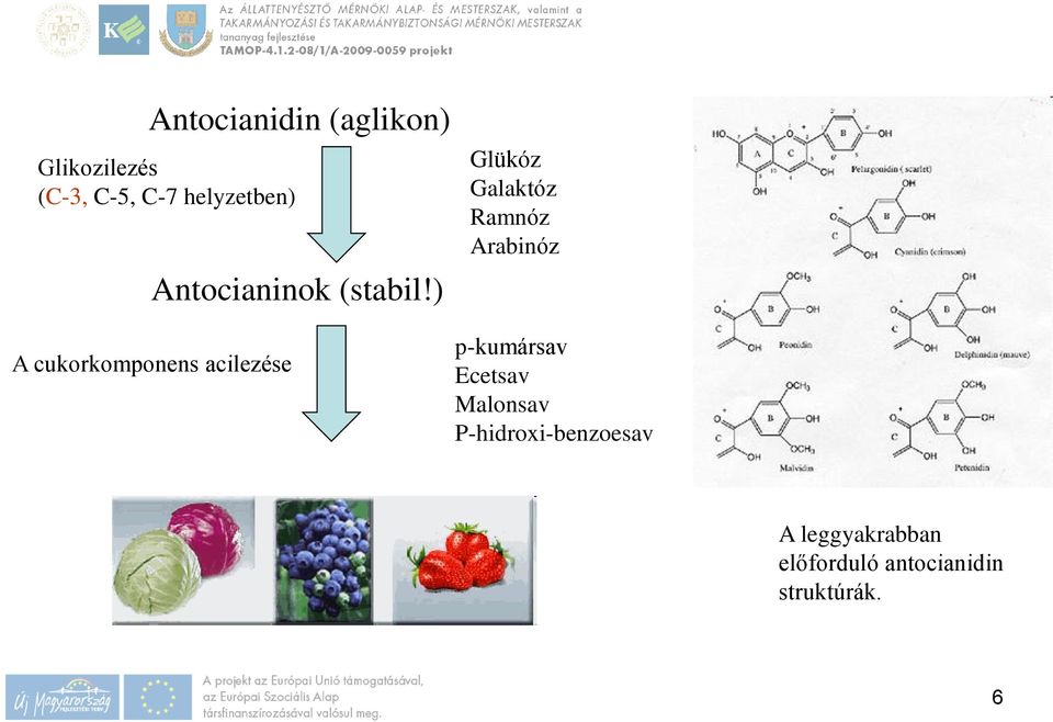 ) A cukorkomponens acilezése Glükóz Galaktóz Ramnóz Arabinóz