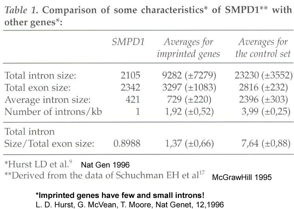 small introns! L. D. Hurst, G.