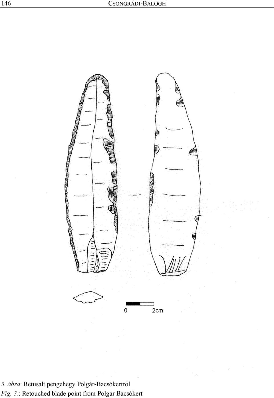 Polgár-Bacsókertről Fig. 3.