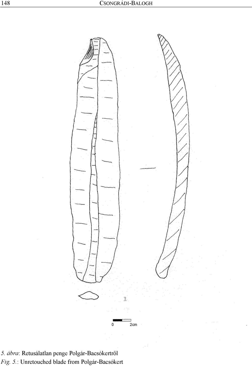 Polgár-Bacsókertről Fig. 5.