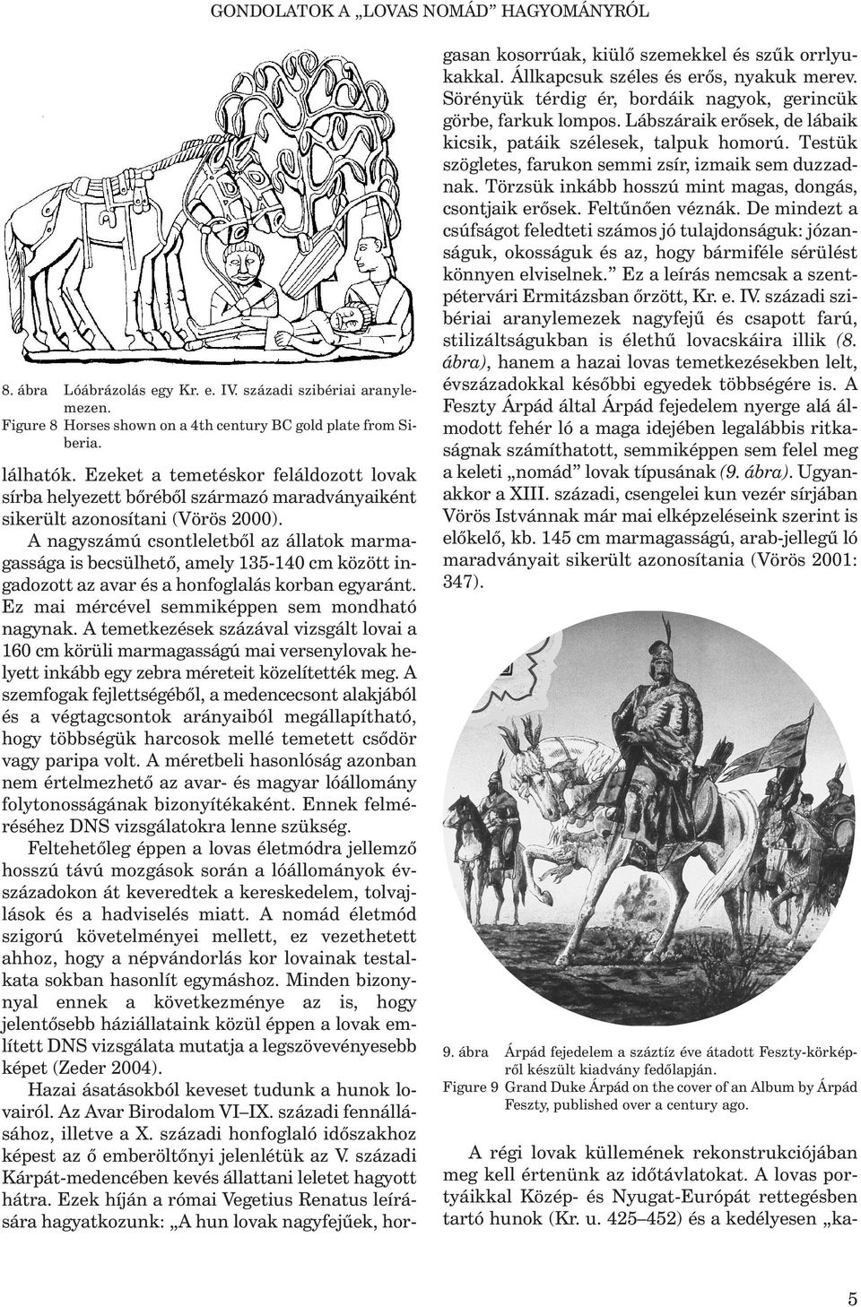 A nagyszámú csontleletből az állatok marmagassága is becsülhető, amely 135-140 cm között ingadozott az avar és a honfoglalás korban egyaránt. Ez mai mércével semmiképpen sem mondható nagynak.