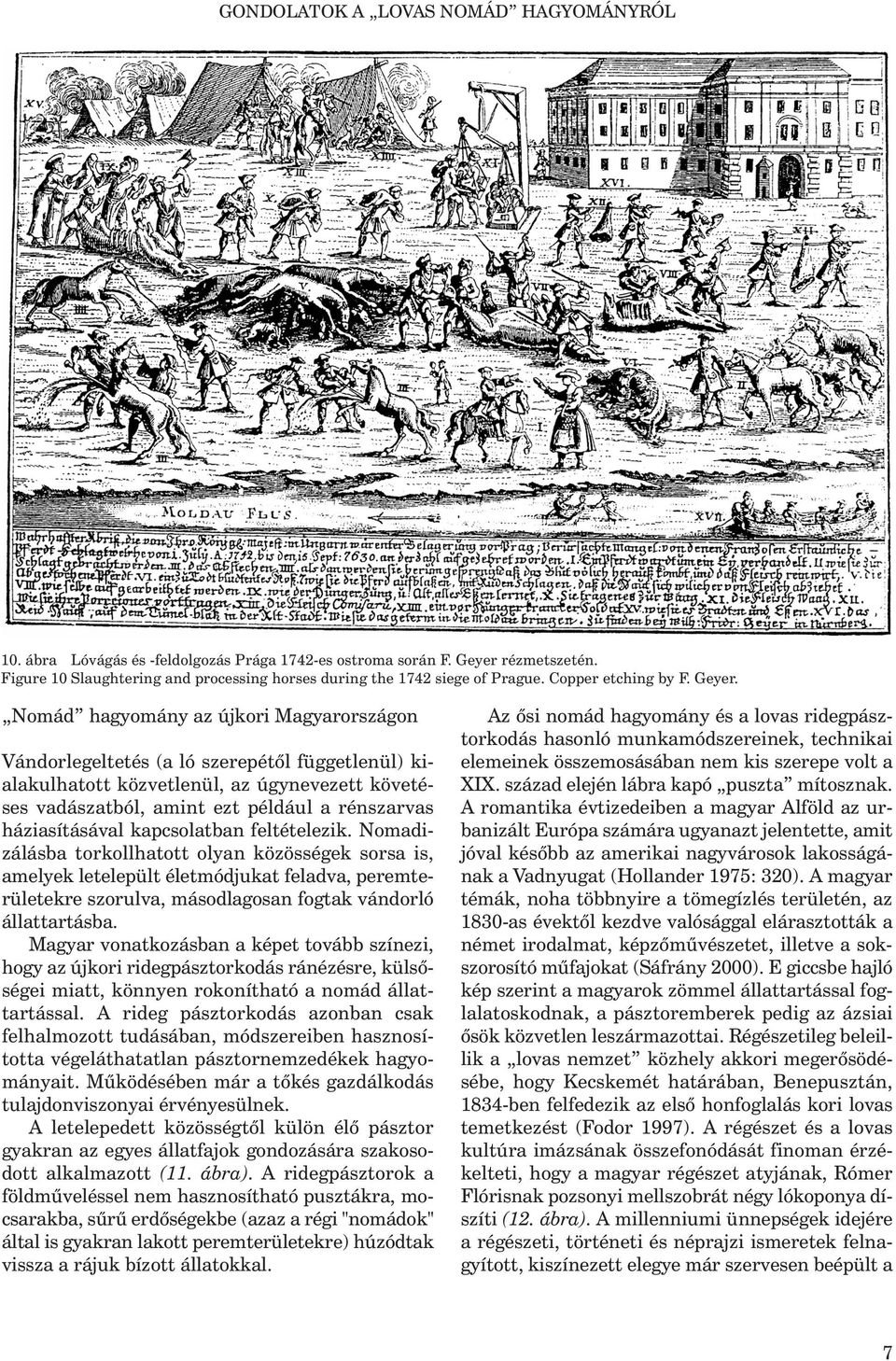 Nomád hagyomány az újkori Magyarországon Vándorlegeltetés (a ló szerepétől függetlenül) kialakulhatott közvetlenül, az úgynevezett követéses vadászatból, amint ezt például a rénszarvas háziasításával