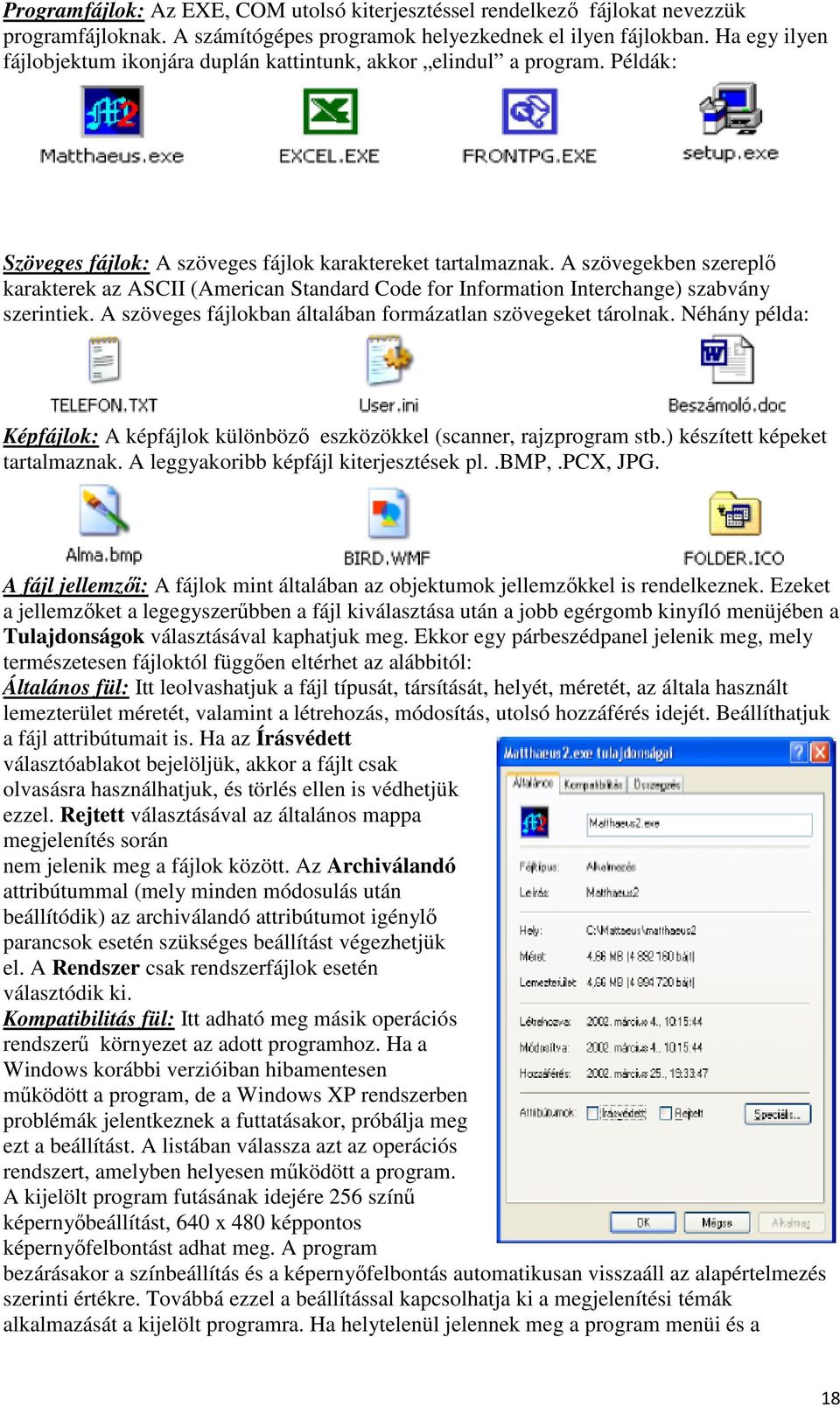 A szövegekben szereplő karakterek az ASCII (American Standard Code for Information Interchange) szabvány szerintiek. A szöveges fájlokban általában formázatlan szövegeket tárolnak.