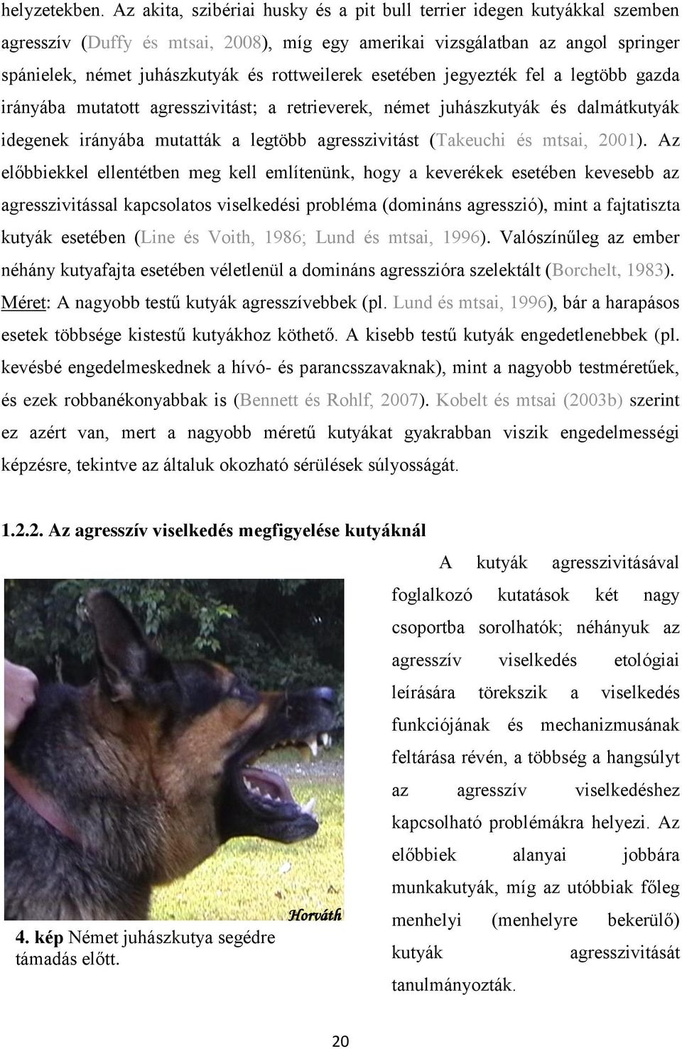 rottweilerek esetében jegyezték fel a legtöbb gazda irányába mutatott agresszivitást; a retrieverek, német juhászkutyák és dalmátkutyák idegenek irányába mutatták a legtöbb agresszivitást (Takeuchi