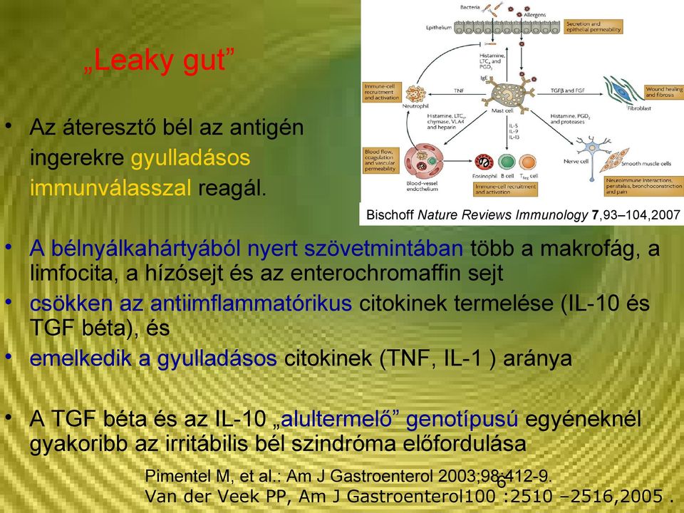 enterochromaffin sejt csökken az antiimflammatórikus citokinek termelése (IL-10 és TGF béta), és emelkedik a gyulladásos citokinek (TNF, IL-1 )